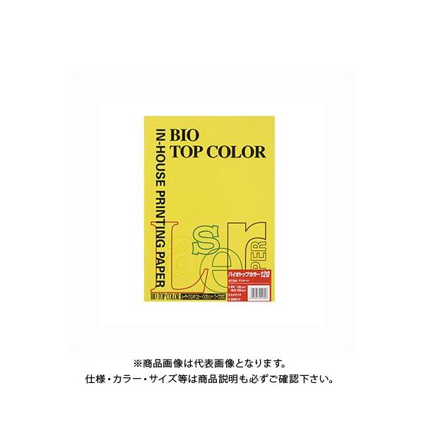 ɓ oCIgbvJ[A4 (50) BT329 }X^[h