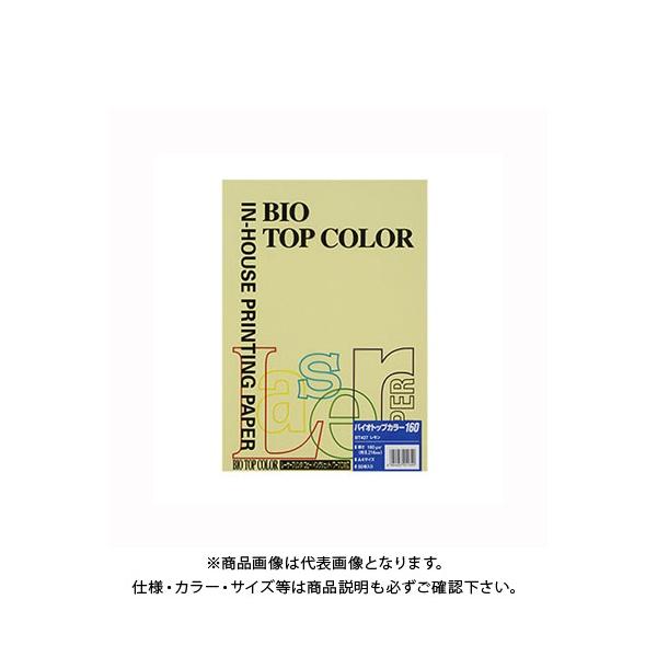 ɓ oCIgbvJ[A4 (50) BT427 