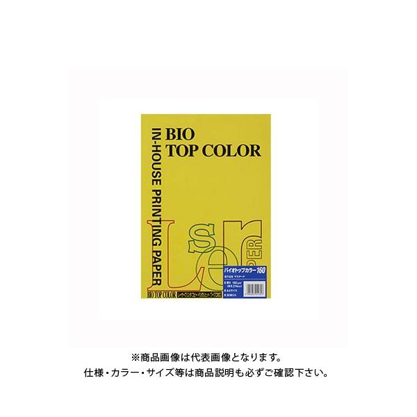 ɓ oCIgbvJ[A4 (50) BT429 }X^[h