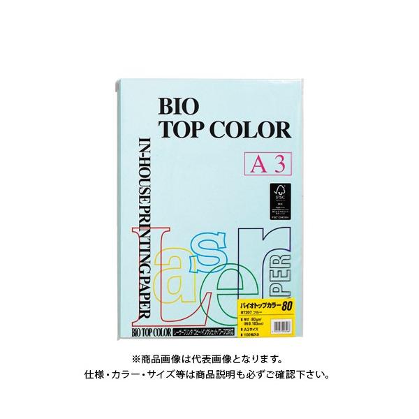 ɓ oCIgbvJ[A3(100) BT207 u[