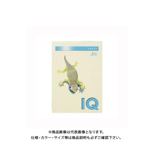 ɓ oCIgbvJ[A4(500) BT530 oj