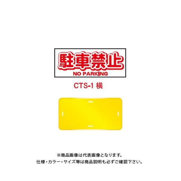 (ʓr)(i)S R[gbvTC uԋ֎~v ^ F nJ}t (20) CTS-1