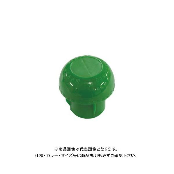 (ʓr)(i)S AZPǃLbv  V[ P48.6 (200)