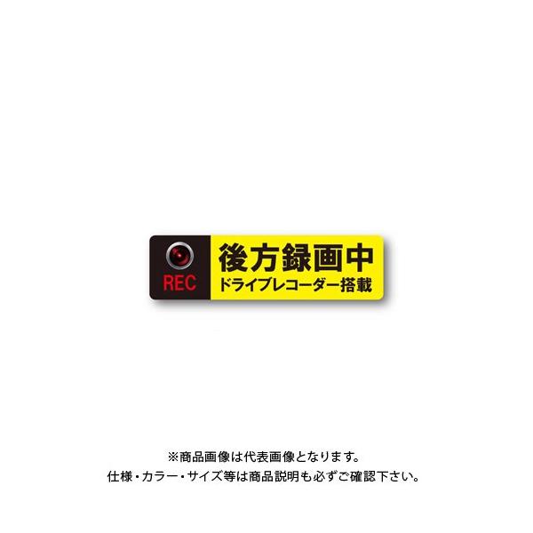 MTO hCuR[_[ }Olbg^Cv BM-LL