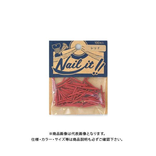 Y NAILITB#17×19 100{ܓ bh NF10012