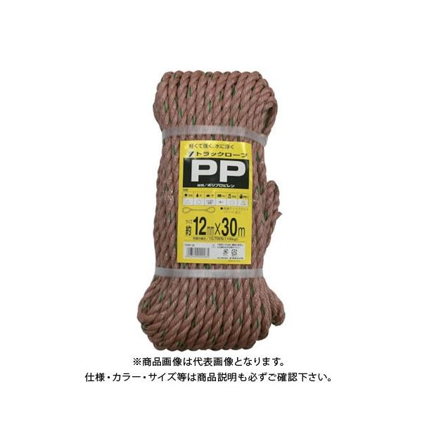 ^JCN [v PPgbN[v(OB) 12×30 TRP6