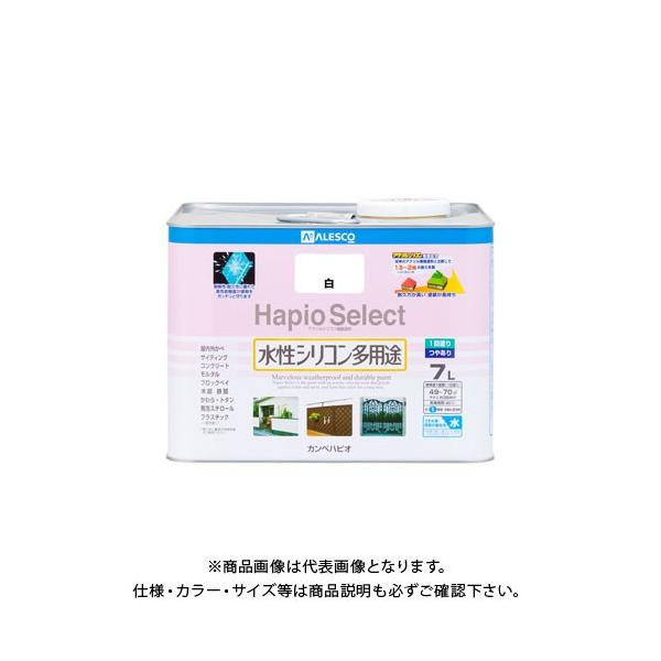 �J���y�n�s�I �n�s�I�Z���N�g �� 7L 00017650011070