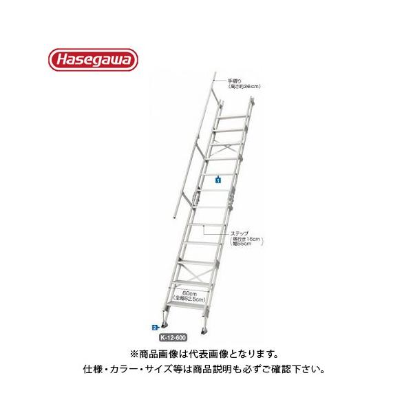 (^ς)(i) nZK JH A~݊Ki͂ K-12-600 15842