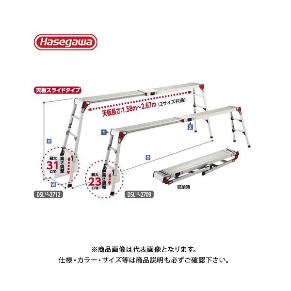 (Hs2025)(ʓr)(i)nZK JH VErLk XmR DSL1.0-2709 16931