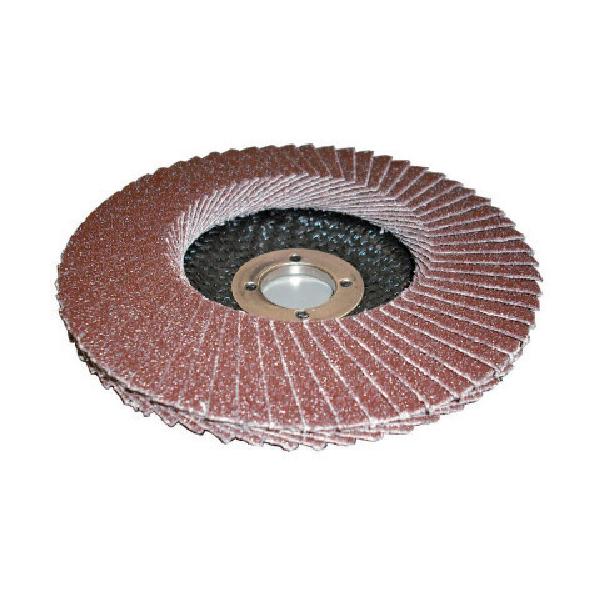 AC PGA-X �t���b�v�f�B�X�N A 10�� PGAX10015-A-80