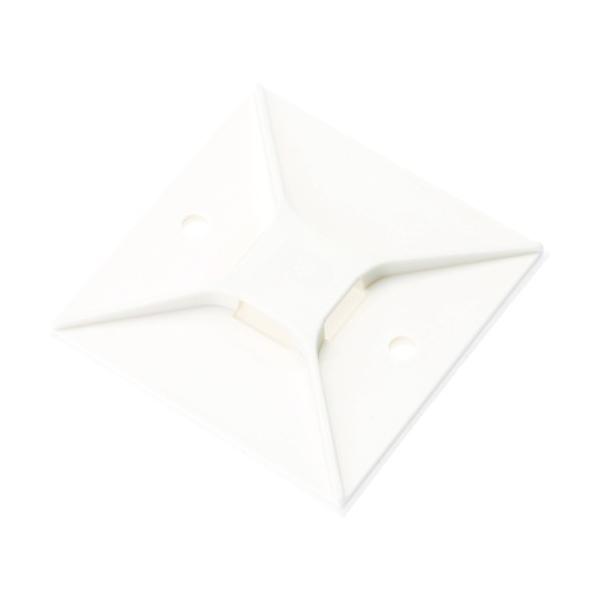 phECbg }Egx[X SnSe[vt  (50) ABM4H-A-L