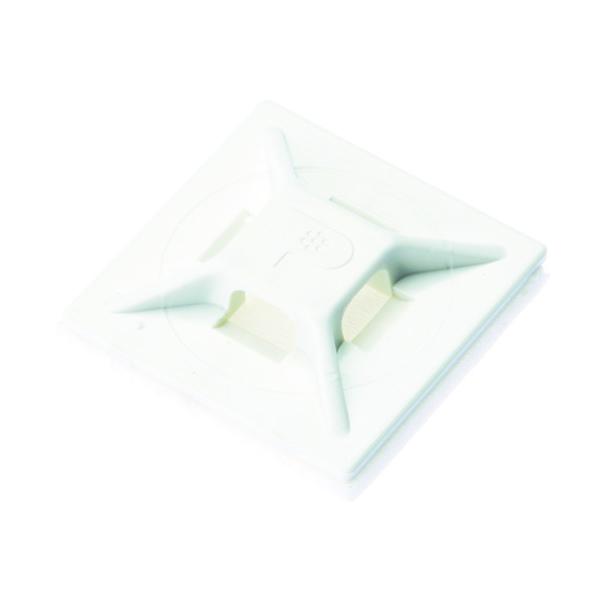 phECbg }Egx[X SnSe[vt  (100) ABMM-A-C