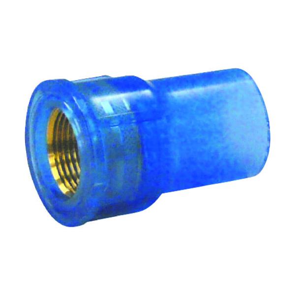 �N�{�^�P�~�b�N�X ����TS ���^���������\�P�b�g TS-MWS13 C-TSMWS13