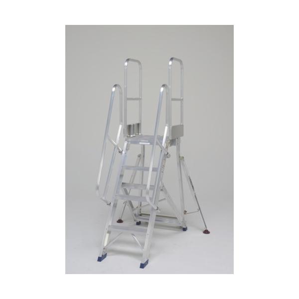 (^ς)(i)sJ ܂肽ݎƑ Ki肷V DXR-TE1