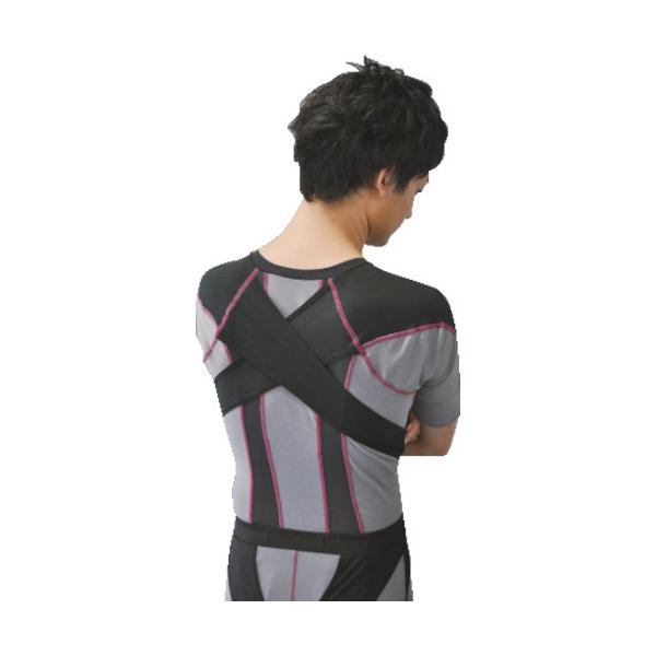 DAIYA ElDARWING-X LLTCY 000-9646