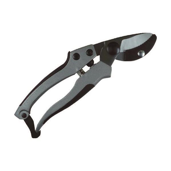 DAISHIN EG A~_CLXg Ar^ 502136