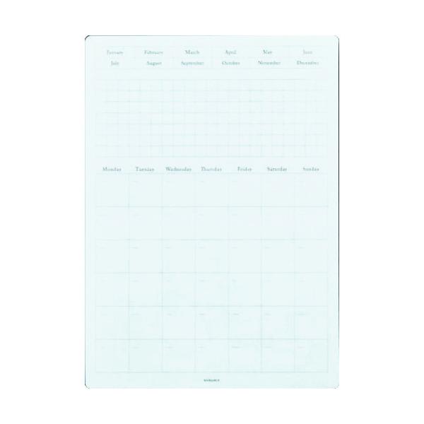 STALOGY \Ă͂J_[V[gM S2401