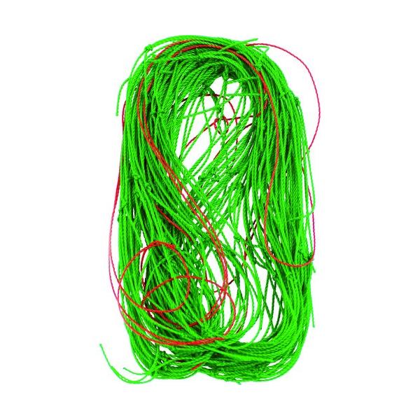 Dio ̉|lbg  10cmp 0.9mX1.8m 260954