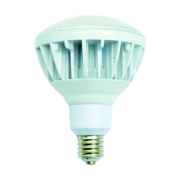 ���� ������pLED������ �n�C�X�y�b�N�G�R�r�b�N40W E39 �����F �{�̔� L40V2-J110-50K