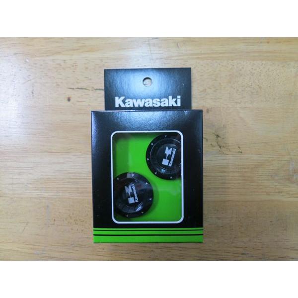 Kawasaki Ninja 250 フレームキャップ カワサキ純正 カワサキ（Kawasaki） Kawasaki Ninja250('13-) フレームキャップ