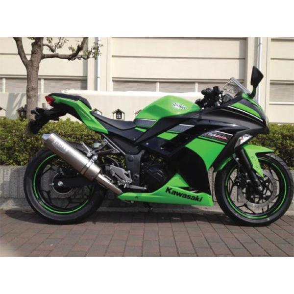 PENSKE@Ninja250('13) G{[VtGL][Xg