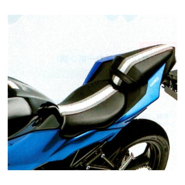 Kawasaki yQTOrk('16-) JX^V[g J99994-0462