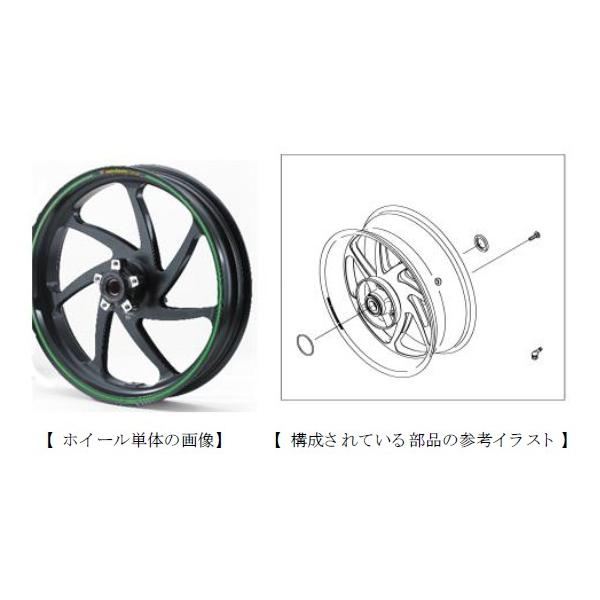 れんくん専用ホイール カワサキ（Kawasaki） Kawasaki NINJA ZX-10RABS('16-) マルケジーニ
