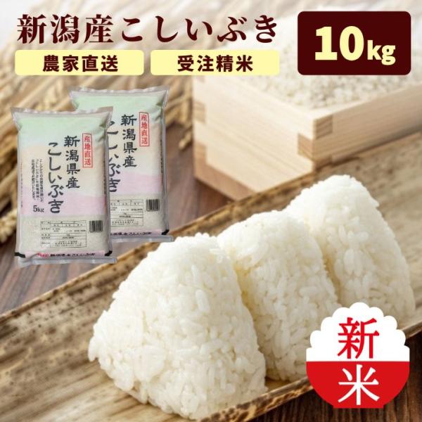 新米 10kg 新潟産 こしいぶき 令和8年 米 5kg × 2袋 受注精米 冷めてもおいしい 米 白米 精米 農家 直送 生産者 米5kg ギフト プレゼント