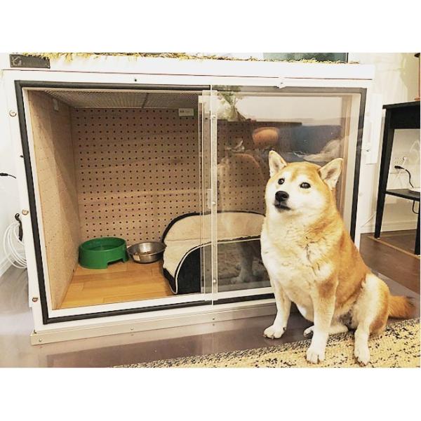 防音ケージカバー5 防音ハウス( 前伏せ)(ホワイト) 室内犬の無駄 防音ケージカバー5 防音ハウス( 前伏せ)(ホワイト) 室内犬の無駄