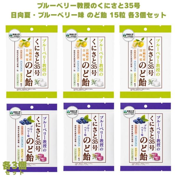 ブルーベリー教授のくにさと35号 のど飴 日向夏味 ブルーベリー味 15粒 各3個セット ブルーベリー飴 ノンシュガー ポリフェノール エキナケア バンランコン