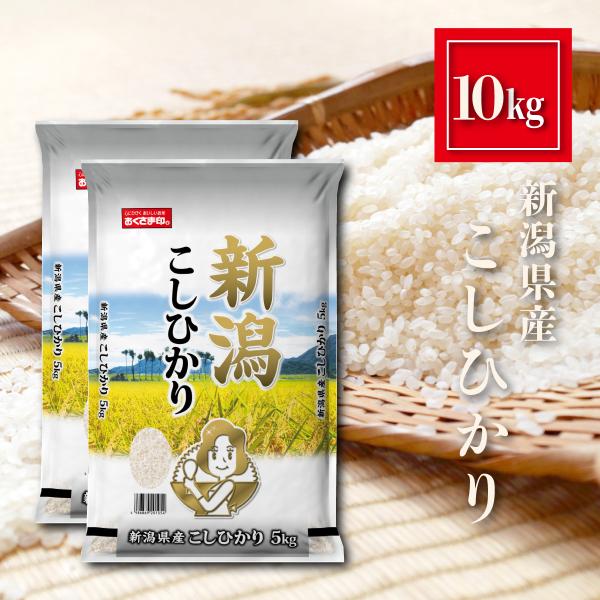 kibaco-net_600010