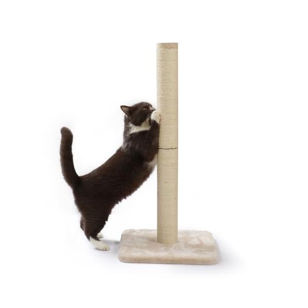 猫壱（necoichi） バリバリつめとぎポール 麻 (L本体)