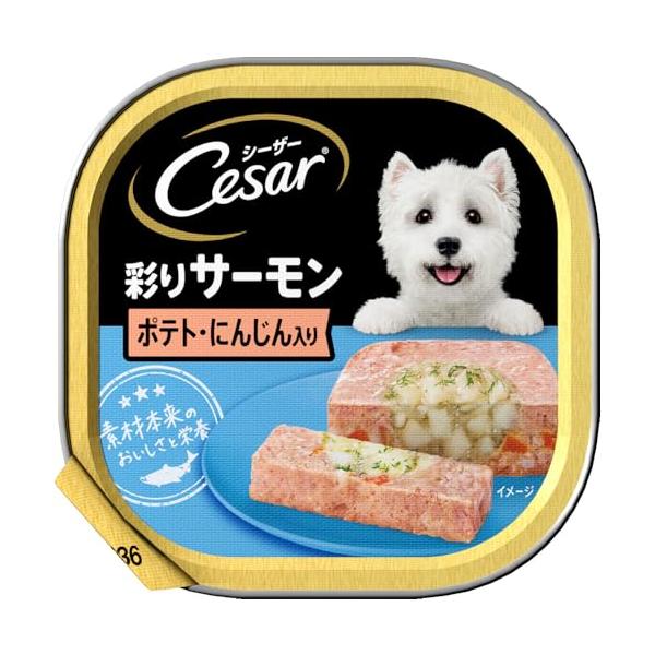 他サイト： シーザー 成犬用 サーモン風味 ポテトとにんじん入り 100g×24個 (まとめ買い) [ドッグフード・ウェット]の商品画像