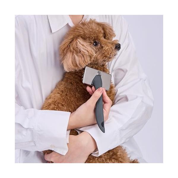 ペティオ (Petio) 犬猫用 FIXCARE ピン先が優しく握りやすい ソフトスリッカーブラシ S