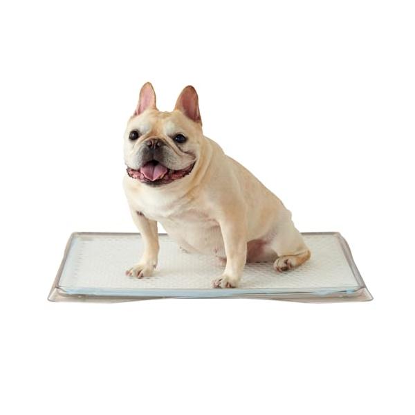 クリアレット クーペ (ワイドシーツサイズ) 犬トイレ 透明 クリア 超薄型 段差が低い サイズ(約):幅61.2×奥46×高2.7