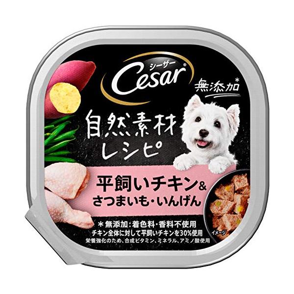 シーザー 自然素材レシピ 平飼いチキン&さつまいも・いんげん( 入)