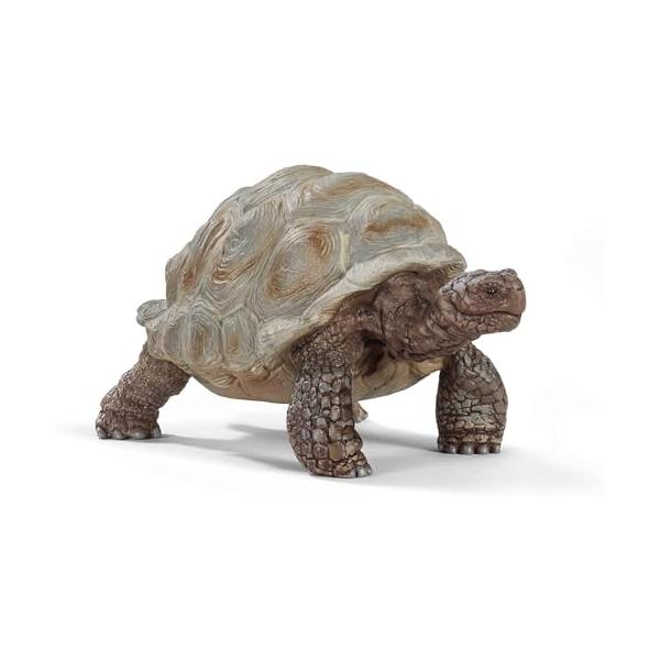 他サイト： シュライヒ ワイルドライフ ゾウガメ フィギュア 14824の商品画像