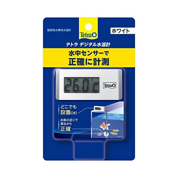 他サイト： テトラ (Tetra) テトラ デジタル水温計 ホワイト WD-1 水温計 アクアリウム 熱帯魚 メダカ 金魚の商品画像