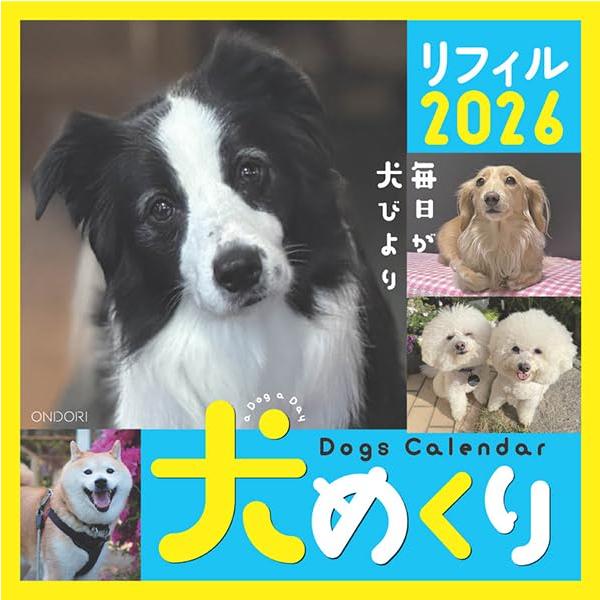 犬めくり 2026年 カレンダー リフィル 日めくり 日めくり 犬 いぬ イヌ 人気 レフィル 令和8年 中央経済社 女性 男性 動物 シーオーツー