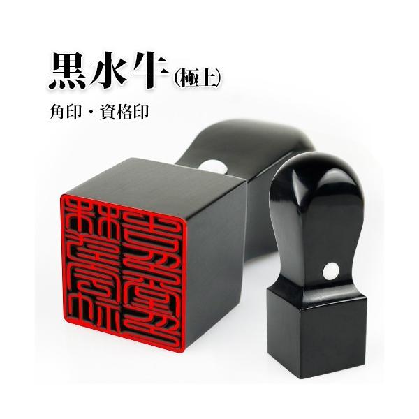 値段が激安 送料無料 10年印面保障 法人用 手仕上げ印鑑 オランダ水牛３本セット プレジデントケース ３本用付き 18mm丸 18mm丸 21mm天丸角 社長印 法人用銀行印 会社印 取締役印鑑 Ora F Fp3 1818mk21