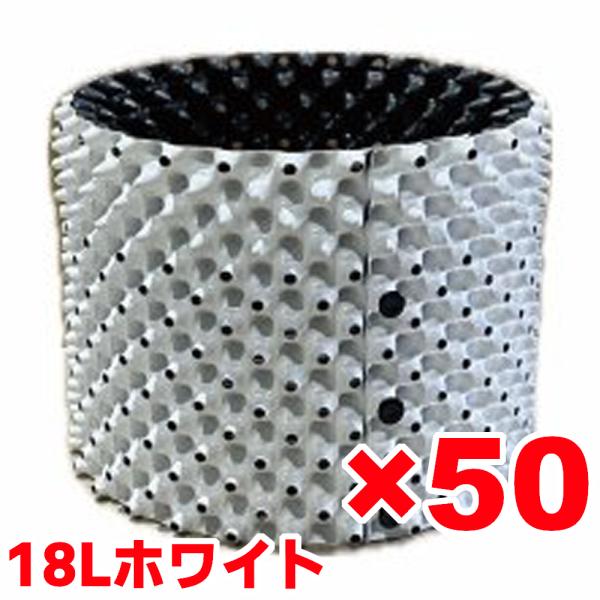 ルートプラスポット ホワイト １８L　５０個セット
