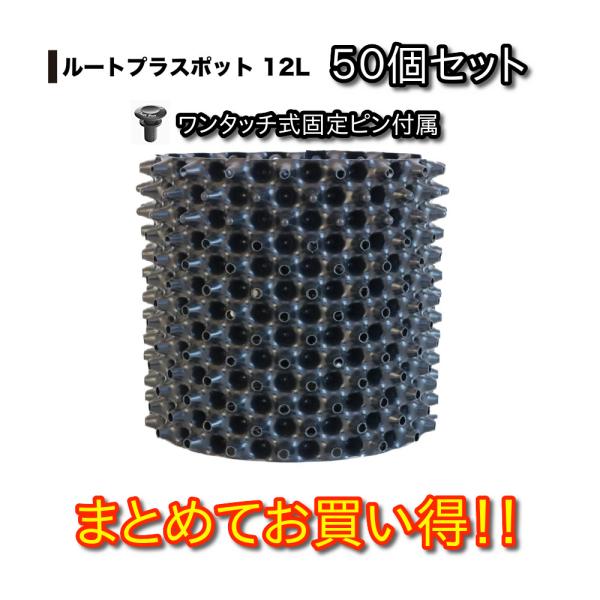 ルートプラスポット 12L 50個セット : 吉瀬園芸 - 通販 - Yahoo