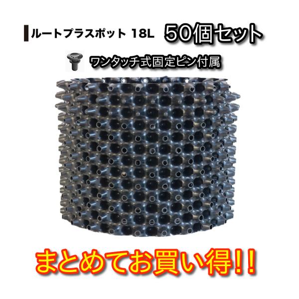 ルートプラスポット 18L 50個セット : 吉瀬園芸 - 通販
