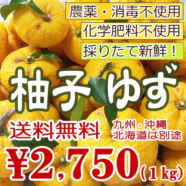 送料無料 柑橘類 柚子 ゆず 無農薬 無化学肥料 無消毒 ユズ 三重県産1kg 大きさまちまち皮まで安心 九州 沖縄 北海道は要別途送料 Yuzu 1kg 吉助 Net 通販 Yahoo ショッピング