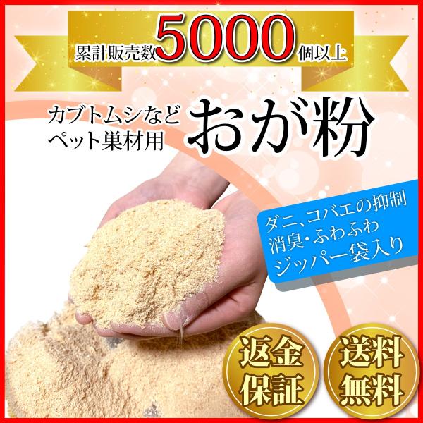 おが粉 おがくず 3mm 国産ひのき おがこ 粒子状 0g 昆虫 マット 防虫 Kicoriya Buyee Buyee Japanese Proxy Service Buy From Japan Bot Online