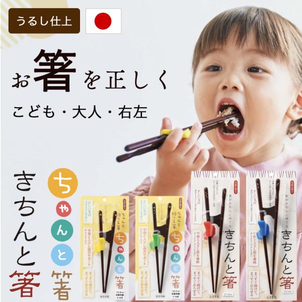お箸職人が考えた、正しいお箸の持ち方を身につけるための練習用お箸です。お子さまの「お箸デビュー」にも、大人の「正しい持ち方の矯正」にもおすすめ。日本製の安心品質で、自然に“正しい指の動き”が習得できます。【商品名】お箸がちゃんと持てる「ちゃ...