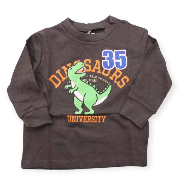 長袖 Tシャツ 80cm 90cm 95cm 恐竜 ティラノサウルス ロンT プリント 可愛い キッズ ベビー 子供服 男の子 春 カットソー ダイナソー ワッペン かっこいい 冬 秋