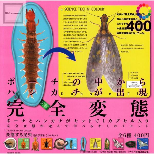 サイエンステクニカラー 変態する昆虫 昆虫学習わくわくセット 全6種セット ガチャ ガシャ コンプリート G キッズルーム 通販 Yahoo ショッピング