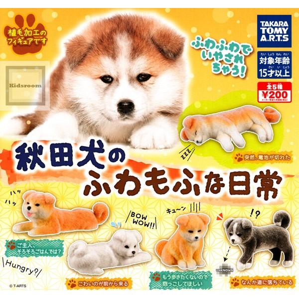 秋田犬のふわもふな日常 全5種セット ガチャ ガシャ コンプリート G キッズルーム 通販 Yahoo ショッピング