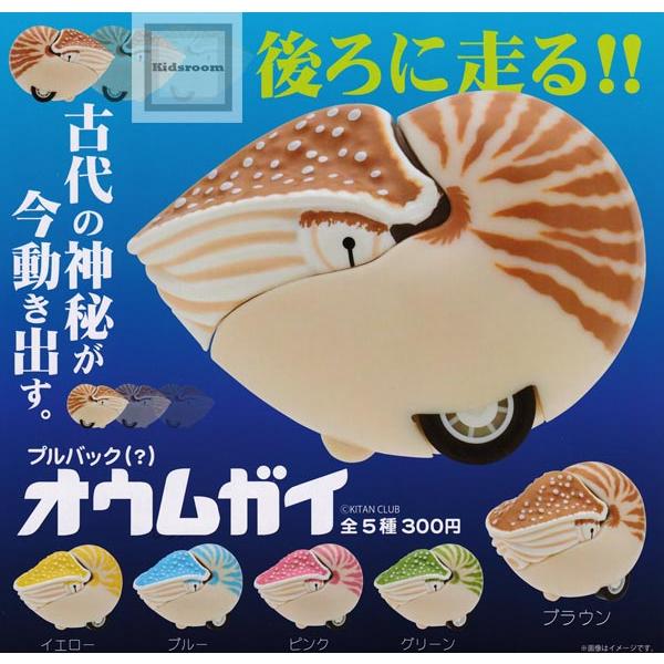 プルバック オウムガイ 全5種セット ガチャ ガシャ コンプリート G キッズルーム 通販 Yahoo ショッピング